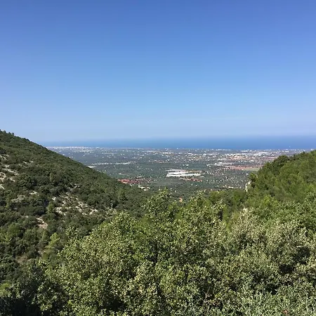 Rosetta Semesterbostad Selva Di Fasano